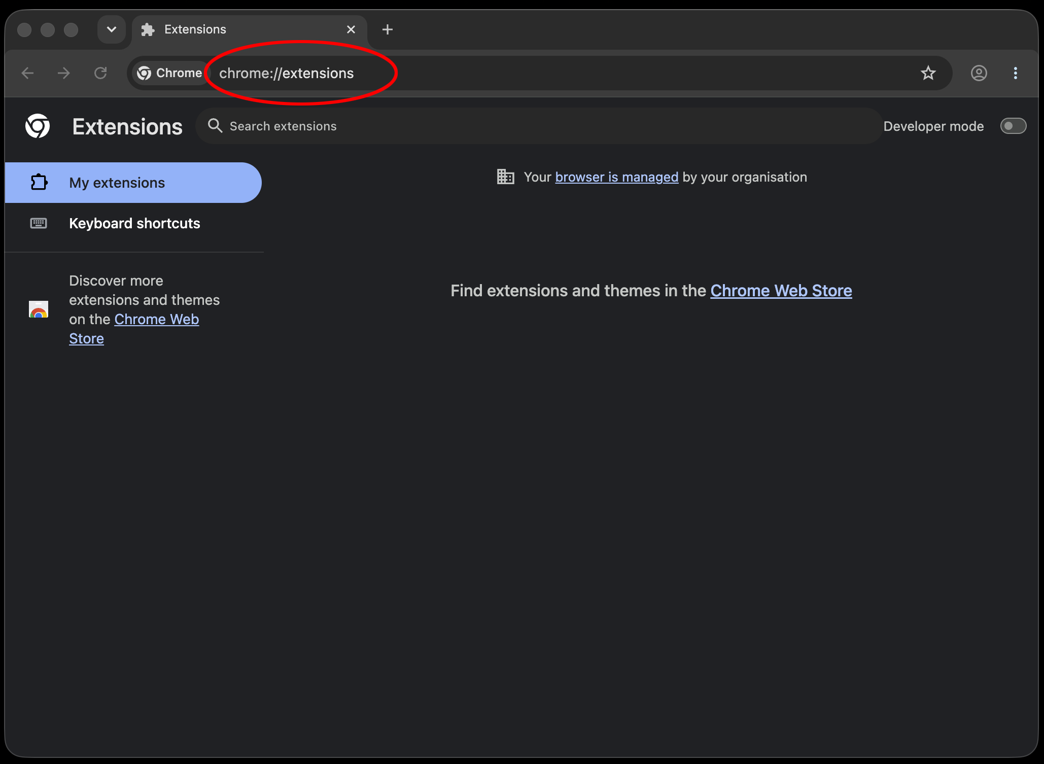 Chrome open on the extensions page with chrome://extensions highlighted in the address bar.